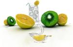 Portable Bird-Shaped Lemon Squeezer - Juicer Set