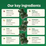 Sugar-Free Super Greens Gummies for Digestive Health