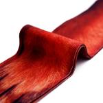 Animal Paw Socks for Fun Christmas Gifts