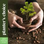 Bonsai Tree Starter Kit for Plant Lovers