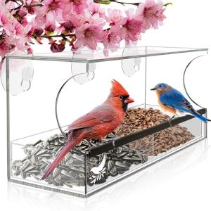 Clear Window Bird Feeder with Strong Suction Cups