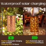 Solar Dragonfly Lanterns for Garden and Patio