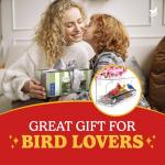 Clear Window Bird Feeder with Strong Suction Cups