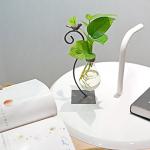 Modern Glass Hydroponics Planter for Home Decor