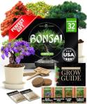 Bonsai Tree Kit - Grow 4 Unique Trees