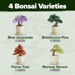 Bonsai Tree Kit - Grow 4 Unique Trees