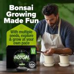 Bonsai Tree Kit - Grow 4 Unique Trees