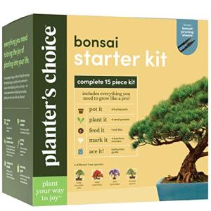 Indoor Bonsai Tree Growing Kit - Unique Gift Idea