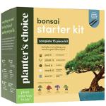 Indoor Bonsai Tree Growing Kit - Unique Gift Idea
