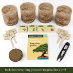 Indoor Bonsai Tree Growing Kit - Unique Gift Idea