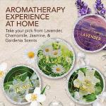 Lavender Shower Steamers - Relaxation Spa Gifts