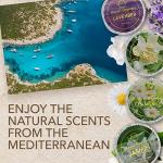 Lavender Shower Steamers - Relaxation Spa Gifts