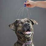 4 Pack Handheld Scalp Massagers for Relaxation