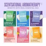 Cleverfy Shower Steamers - Perfect Aromatherapy Gift