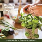 Indoor Herb Garden Kit - Perfect Gift Idea