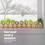 Indoor Herb Garden Kit - Perfect Gift Idea