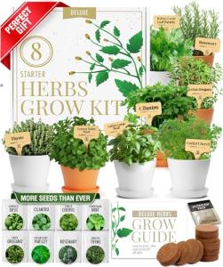 Herb Garden Kit with 8 Seed Varieties
