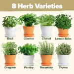 Herb Garden Kit with 8 Seed Varieties