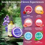 Aromatherapy Shower Steamers - Perfect Gift Set