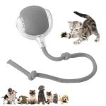 Chewie Viral Rolling Pet Ball for Cats and Dogs