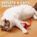 Chewie 360 Smart Rolling Pet Ball - 3 Pack