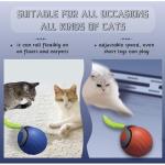 Speediest Tail 2.0 Interactive Cat Toy Ball