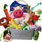 30-Pack Jalousie Squeaky Dog Toys for Pups