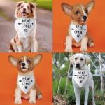 New Puppy Announcement Bandana for Dog Owners