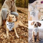New Puppy Announcement Bandana for Dog Owners