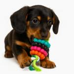 30-Pack Jalousie Squeaky Dog Toys for Pups