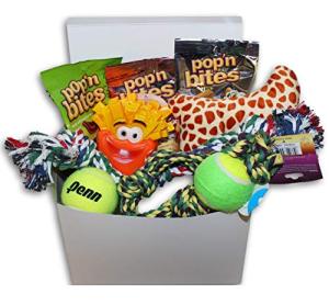 Ultimate Dog Care Gift Box for New Pets