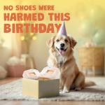 Barkingstock Squeaky Dog Toy - Funny Pet Fun