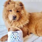 Chewy Vuiton Plush Dog Handbag Toy - Large