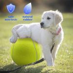 Giant Tennis Ball Toy for Dogs - 9.5 Inch