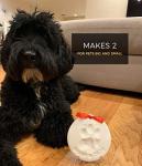 Pawprint Keepsake Kit for Pets – Ornament Set