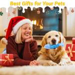 Indestructible Squeaky Dog Toys for Aggressive Chewers