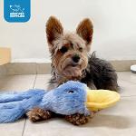 Interactive Crinkle Duck Dog Chew Toy