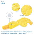 Interactive Squeaky Chew Toy for Dogs