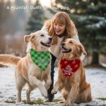 Funny Christmas Dog Bandanas - 2 Pack Set