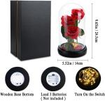 Beauty and The Beast Galaxy Rose with Lights