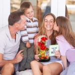 Beauty and The Beast LED Galaxy Rose Gift