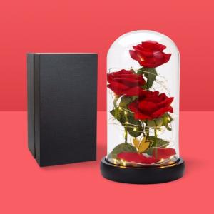 Enchanting Beauty and The Beast Galaxy Rose Gift