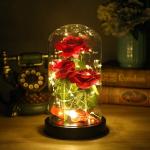 Enchanting Beauty and The Beast Galaxy Rose Gift