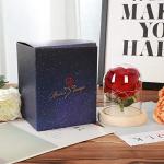 Beauty and The Beast Rose - Unique Gift Idea