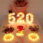 Beauty and The Beast Rose - Unique Gift Idea