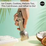 OTOTO Bear Ice Cream Scoop - Fun Kitchen Gadget