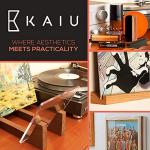 KAIU Vinyl Record Frame – Solid Wood Album Frames for Vinyl Records Accessories Gifts to Mount on Wall, 13.8 x 13.6 x 2 Inch Display Cover with Clear Acrylic – BLACK