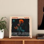 YuanDian Now Playing Vinyl Record Stand, Light up Display Holder for Vinyl Records, Wooden Acrylic Holder with Warm Light for Album Display Storage, Home Desk Decor for Music Lovers