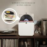 Costravio Vinyl Record Storage Record Holder Display Box Album Storage Moving Boxes Holds 30+ Valuable Records 7/10/12 Inch Record Crates Vinyl Organizer for Journey White