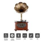 LuguLake Record Player Retro Turntable All in One Vintage Phonograph Nostalgic Gramophone for LP with Copper Horn, Built-in Speaker 3.5mm Aux-in/USB